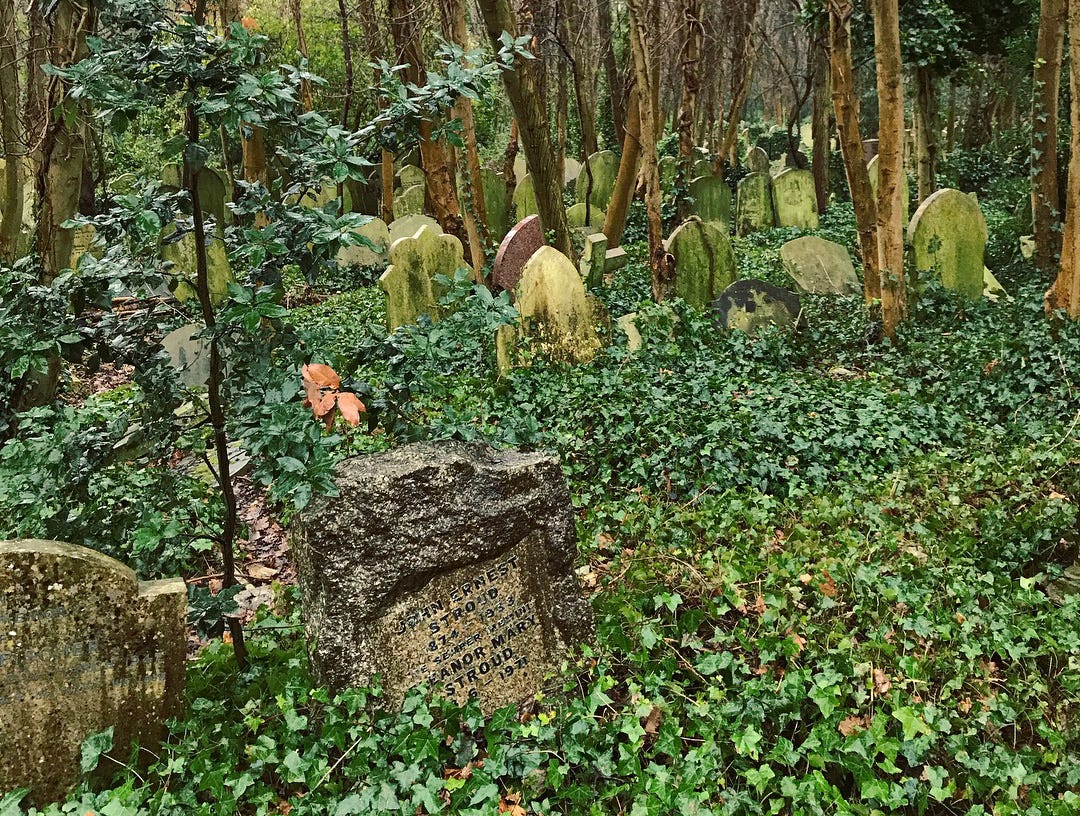 lapidi nel verde tra gli alberi al cimitero di highgate a londra