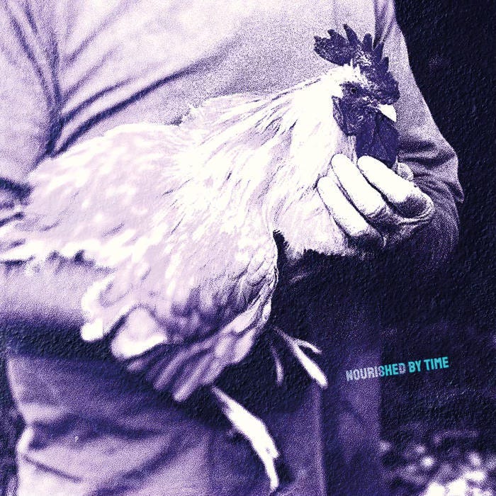 Capa de Catching Chickens EP, de Nourished by Time