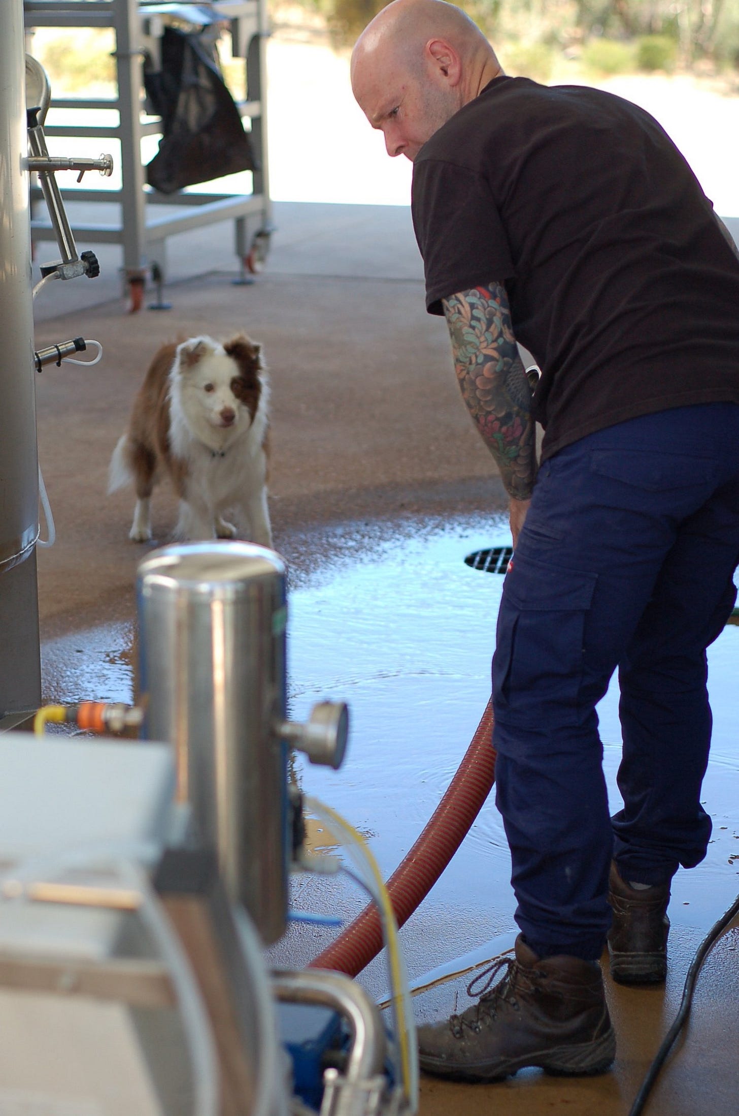 Col McBryde at work in the Adelina winery