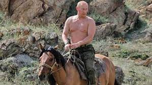 Putin: Shirtless in Siberia