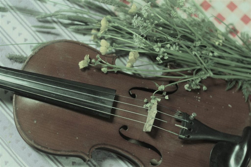 an old violin with meadow flowers