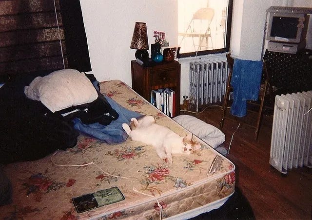 A photograph of a small dingy apartment. There is a little orange cat lounging on the bed.