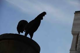Image result for st peter denial rooster crows Image result for st peter denial rooster crows