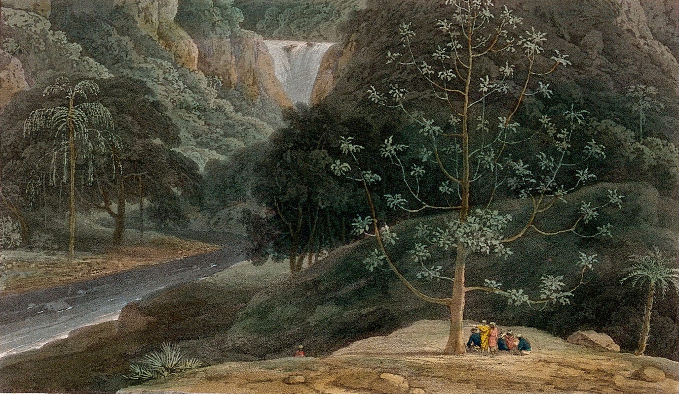 Painting - Breadfruit tree (Artocarpus altilis) in tropical landscape. Coloured aquatint by W. Daniell, c. 1809,