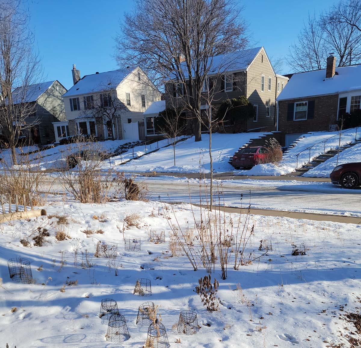 My front yard under snow. 