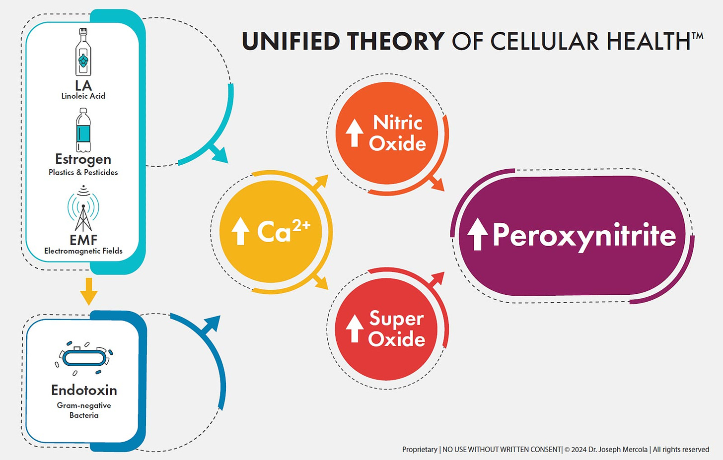 unified theory of cellular health