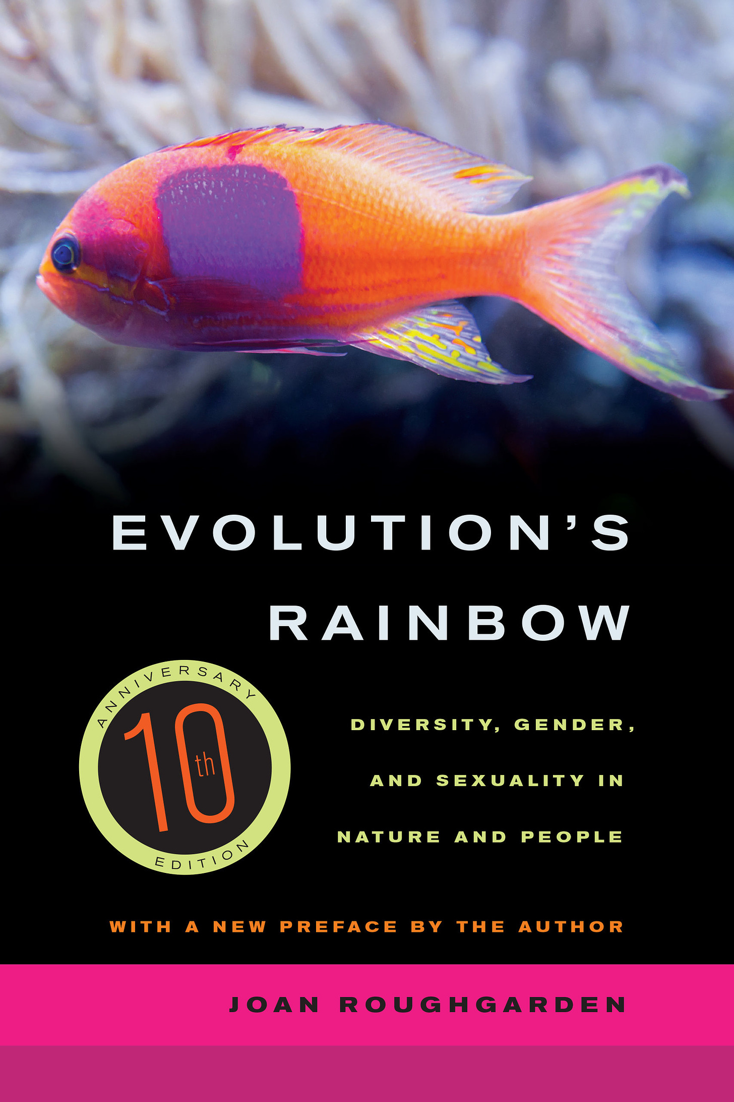 Evolution's Rainbow by Joan Roughgarden - Paperback - University of  California Press