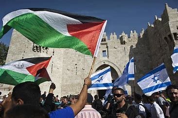 Image result for Israel and Palestine Flag