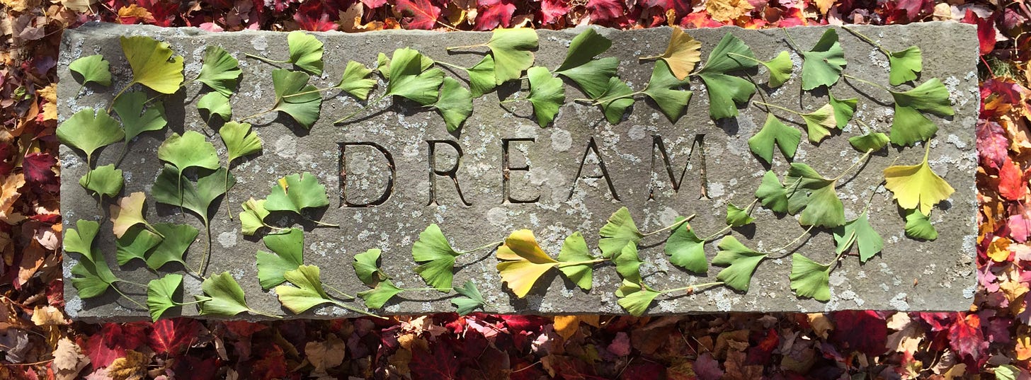 Photograph by Michael Whelan of a bench in the garden surrounded by fall colored leaves on the ground. “DREAM” is carved into the bench and green ginkgo leaves have been arranged around the word.