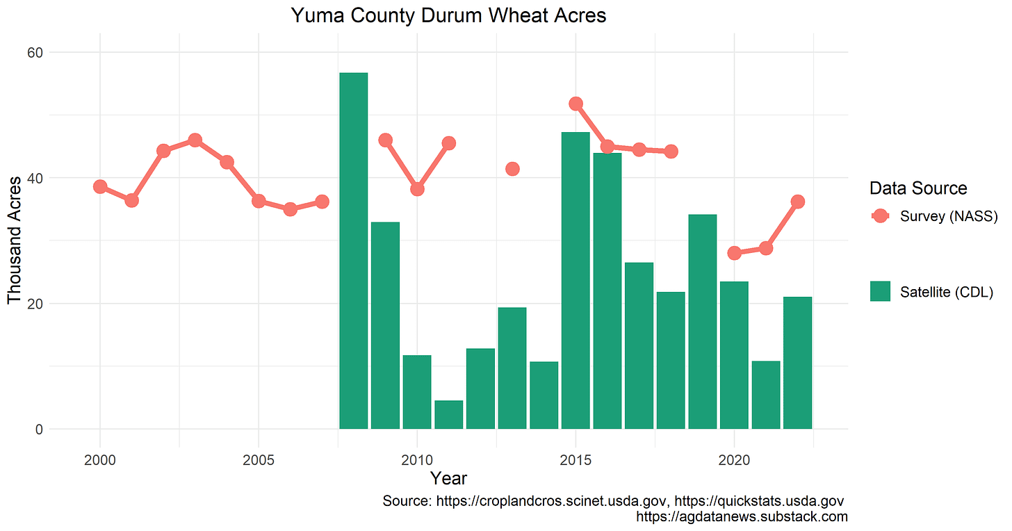 Yuma Wheat