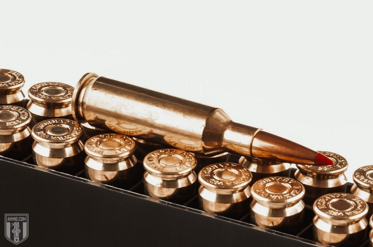 shop 224 Valkyrie ammo