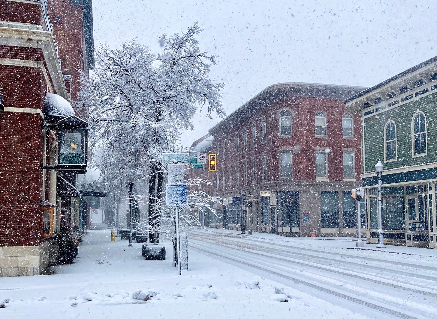 Two brick buildings and a green wooden building at a snowing intersection. Heavy snow hangs in trees and completely coats street signs. 