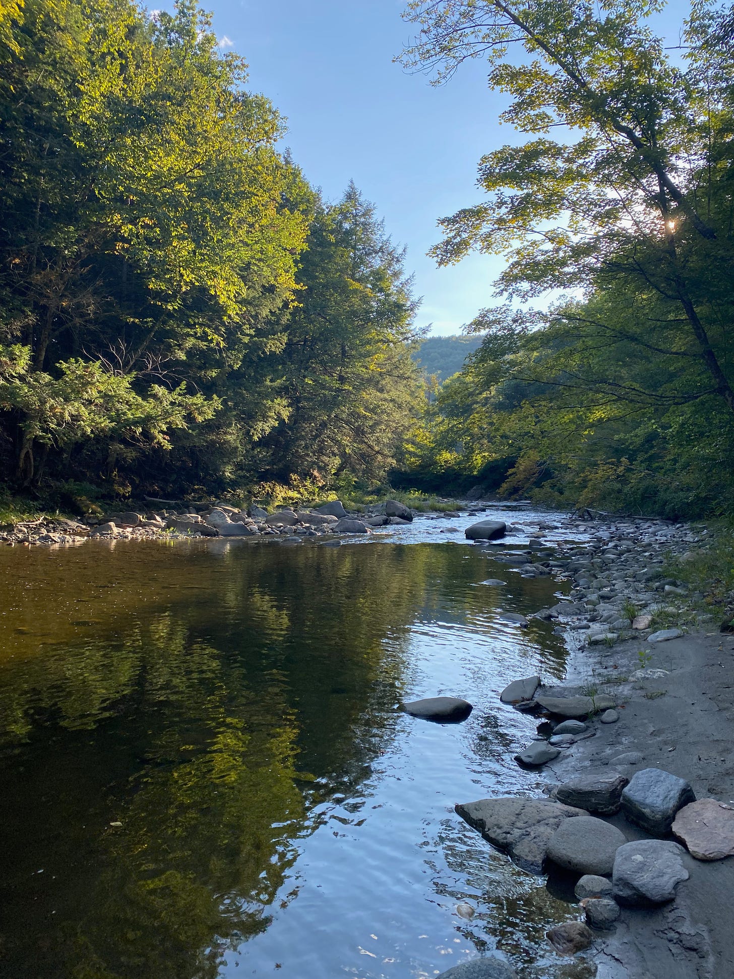 View of a deep pool in a rocky river, surrounded by green trees, in the late afternoon light.