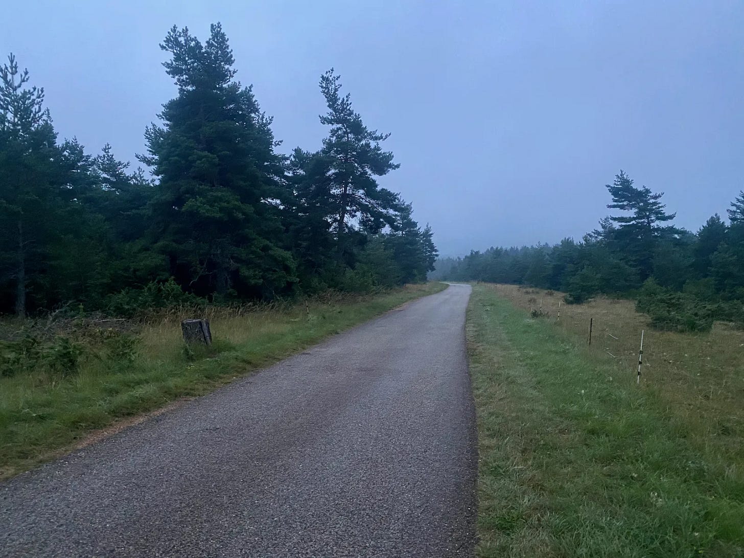 Petit matin brumeux Petit matin brumeux