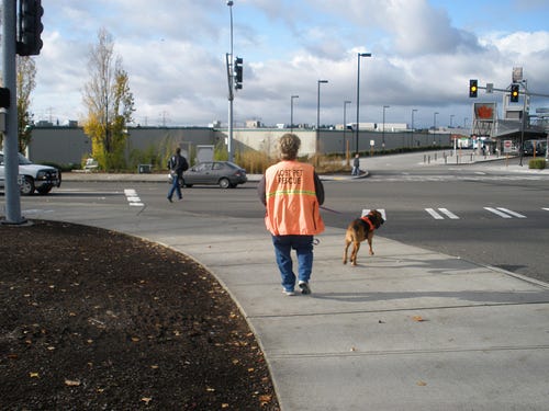 Woman wearing orange LOST PET RESCUE vest following a bloodhound tracking a scent.