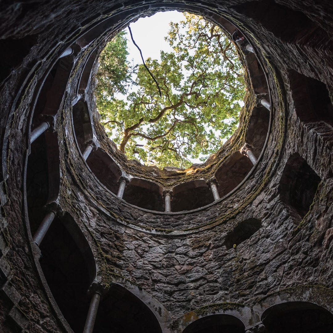 From the bottom a stone well with a spiraling mason pattern, the camera looks upward to the tree canopy above us.