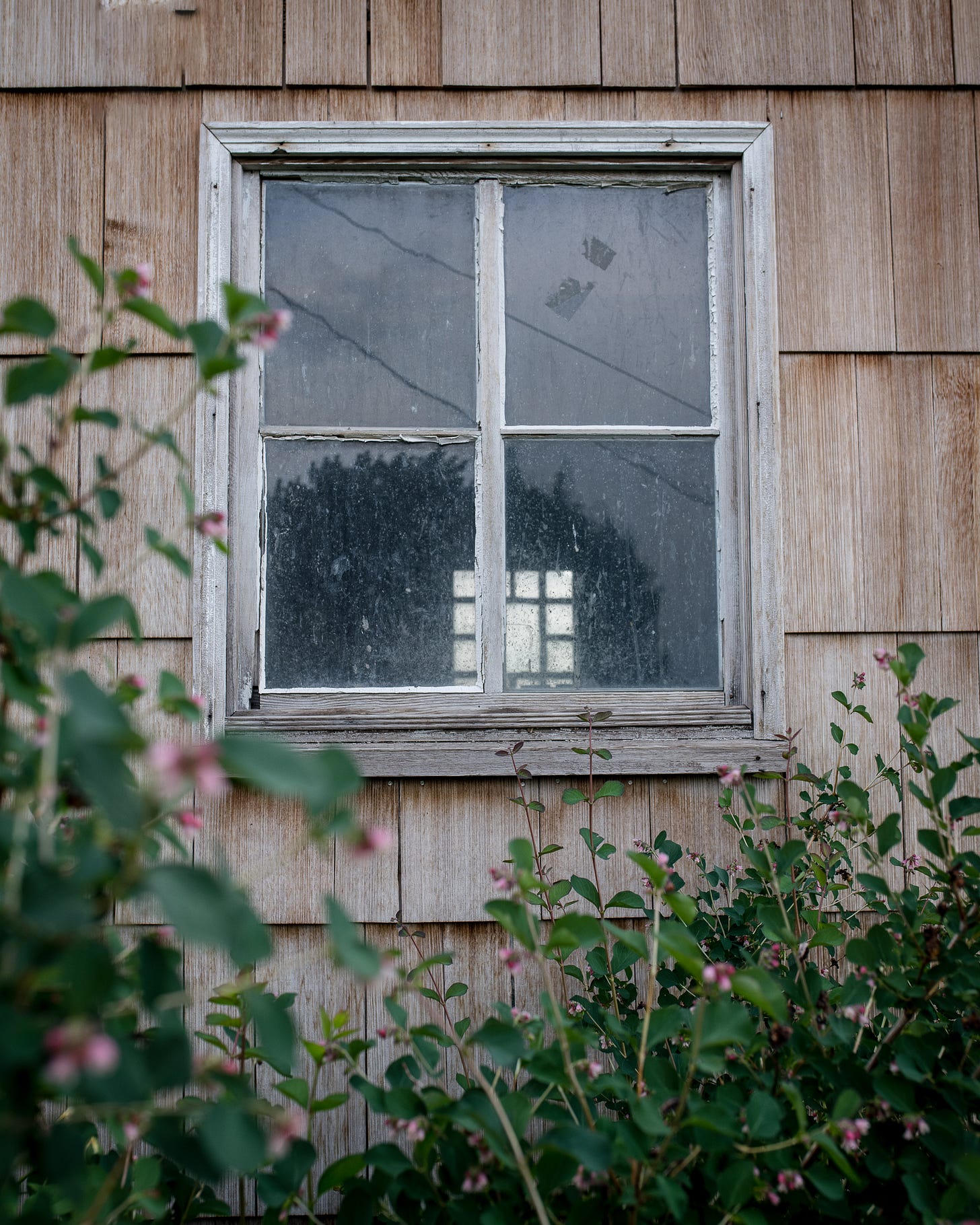 Cottage garden tour at The Elliott Homestead