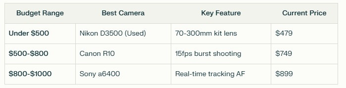 Three-tier budget wildlife camera guide showing Nikon D3500 (Under $500), Canon R10 ($500-$800), and Sony a6400 ($800-$1000) with their key features and current pricing