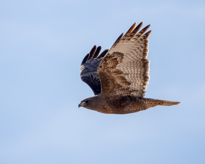 20240218-Yuma-528-Edit.jpg
