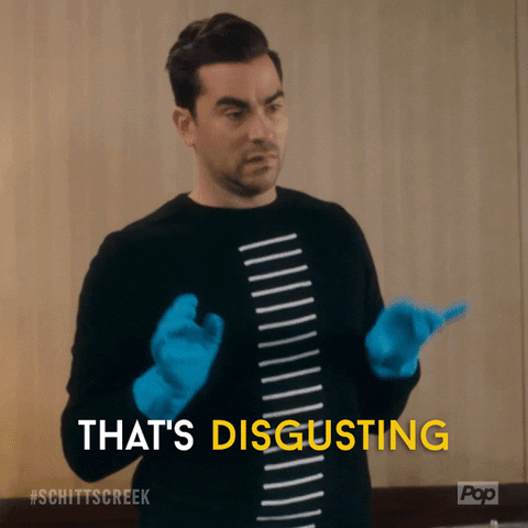 David from Schitt's Creek, wearing blue rubber gloves, emphatically saying THAT'S DISGUSTING