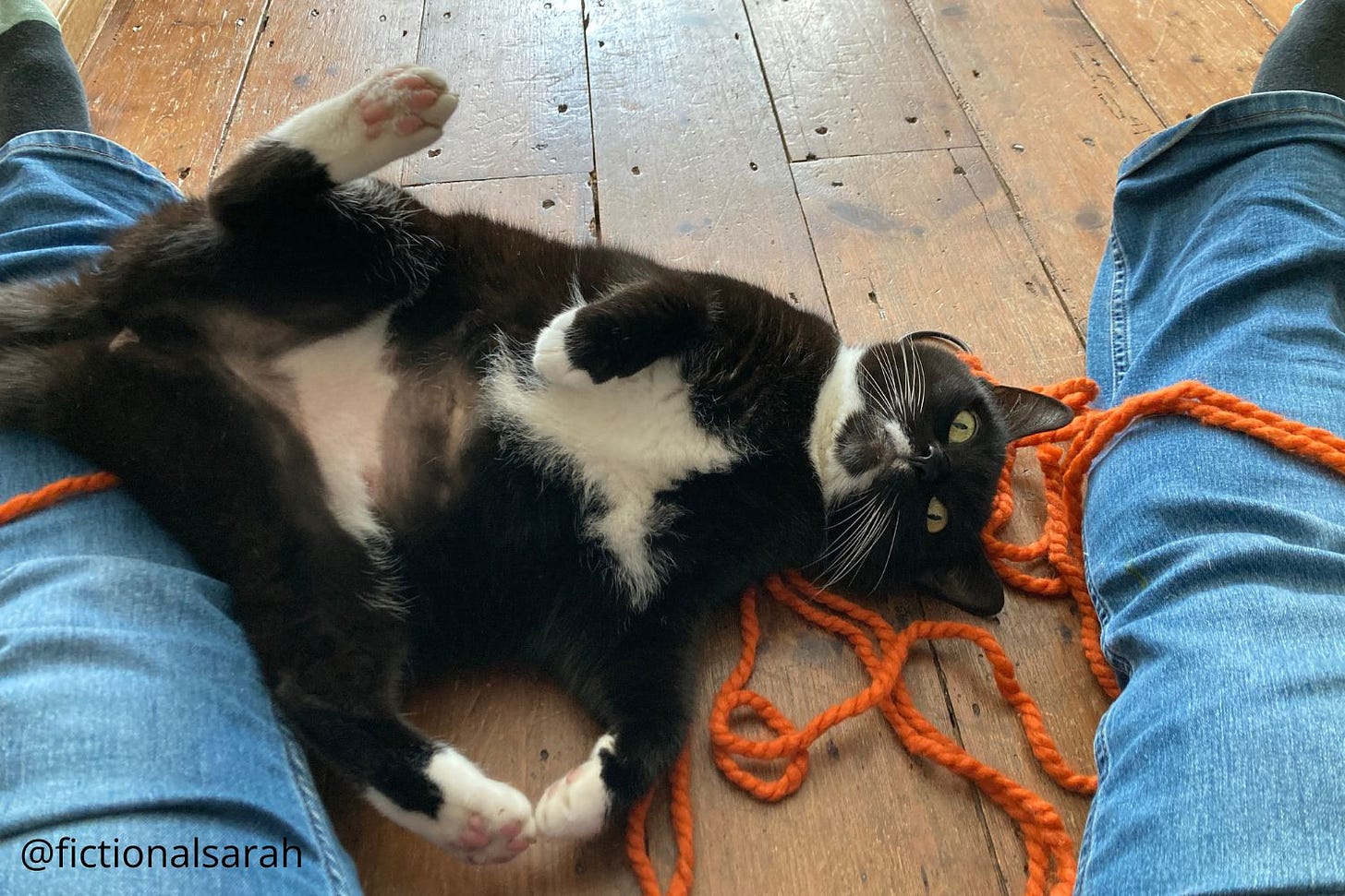 Willow the derpy black and white cat flailing about on her back and ruining my macrame project while her floofy paws flap about in the air
