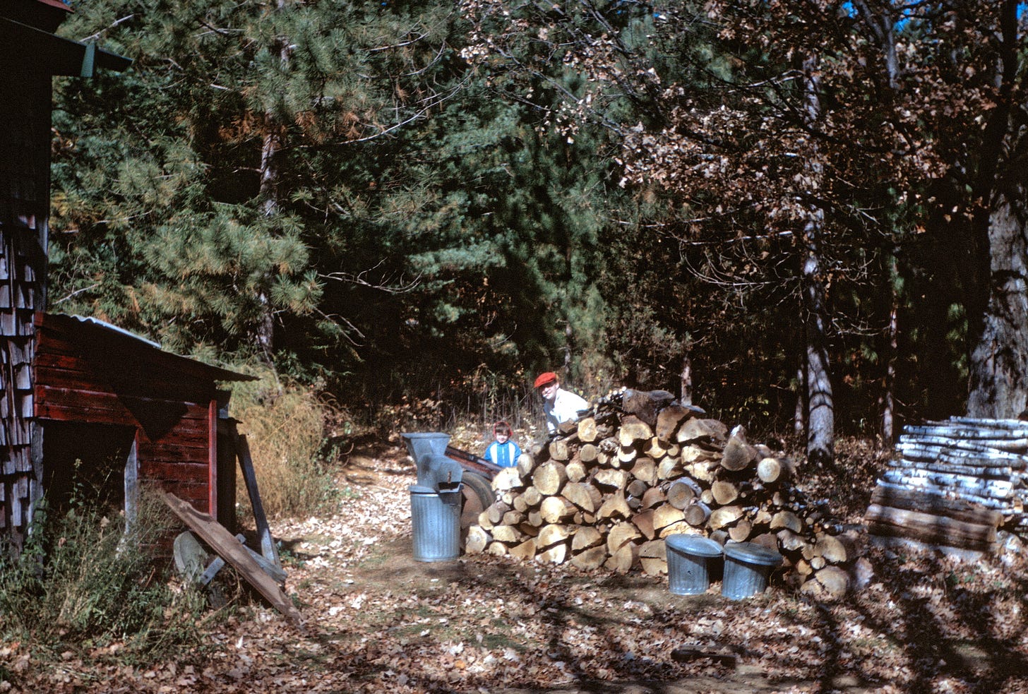 Man and girl behind a woodpile