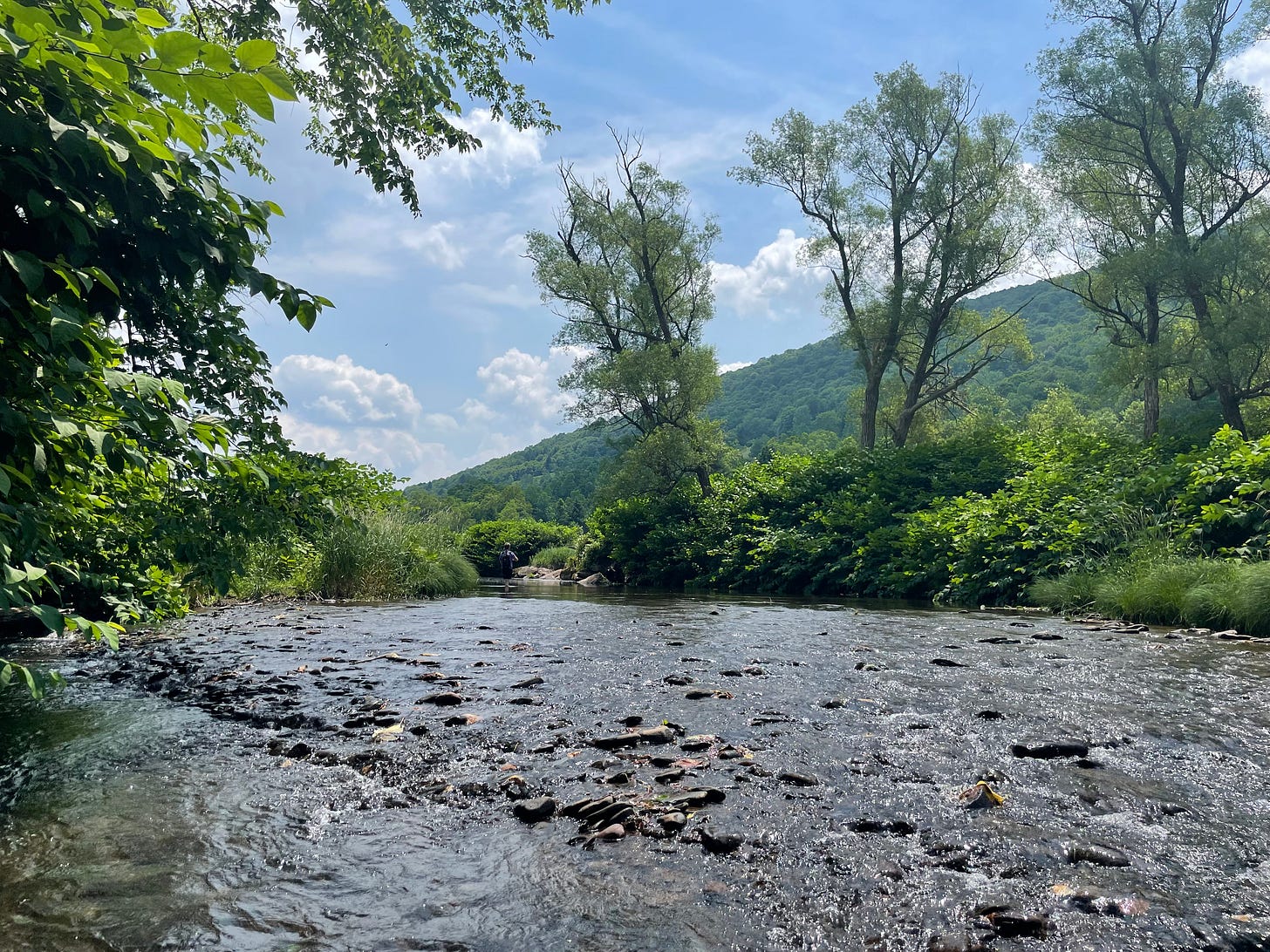 a stream beneath a blue sky with green trees and mountains