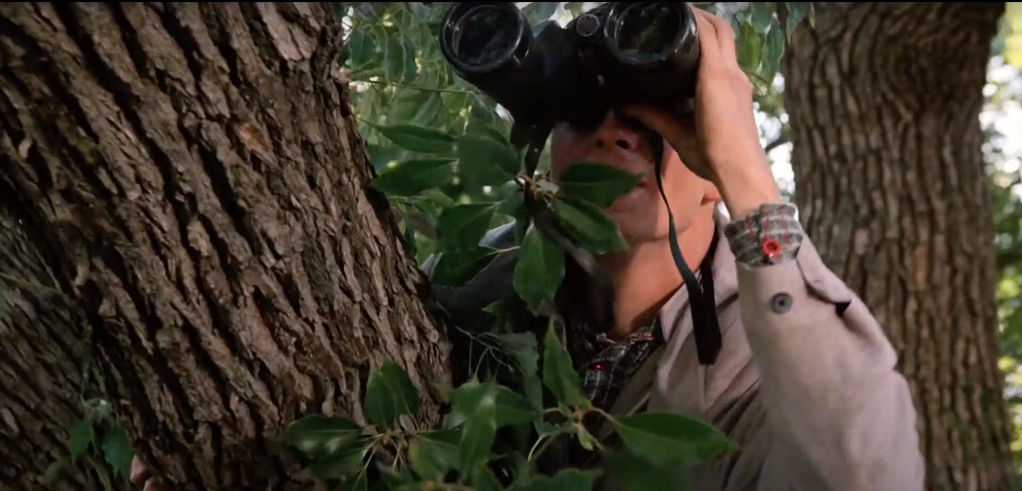 George McFly peeping tom tree