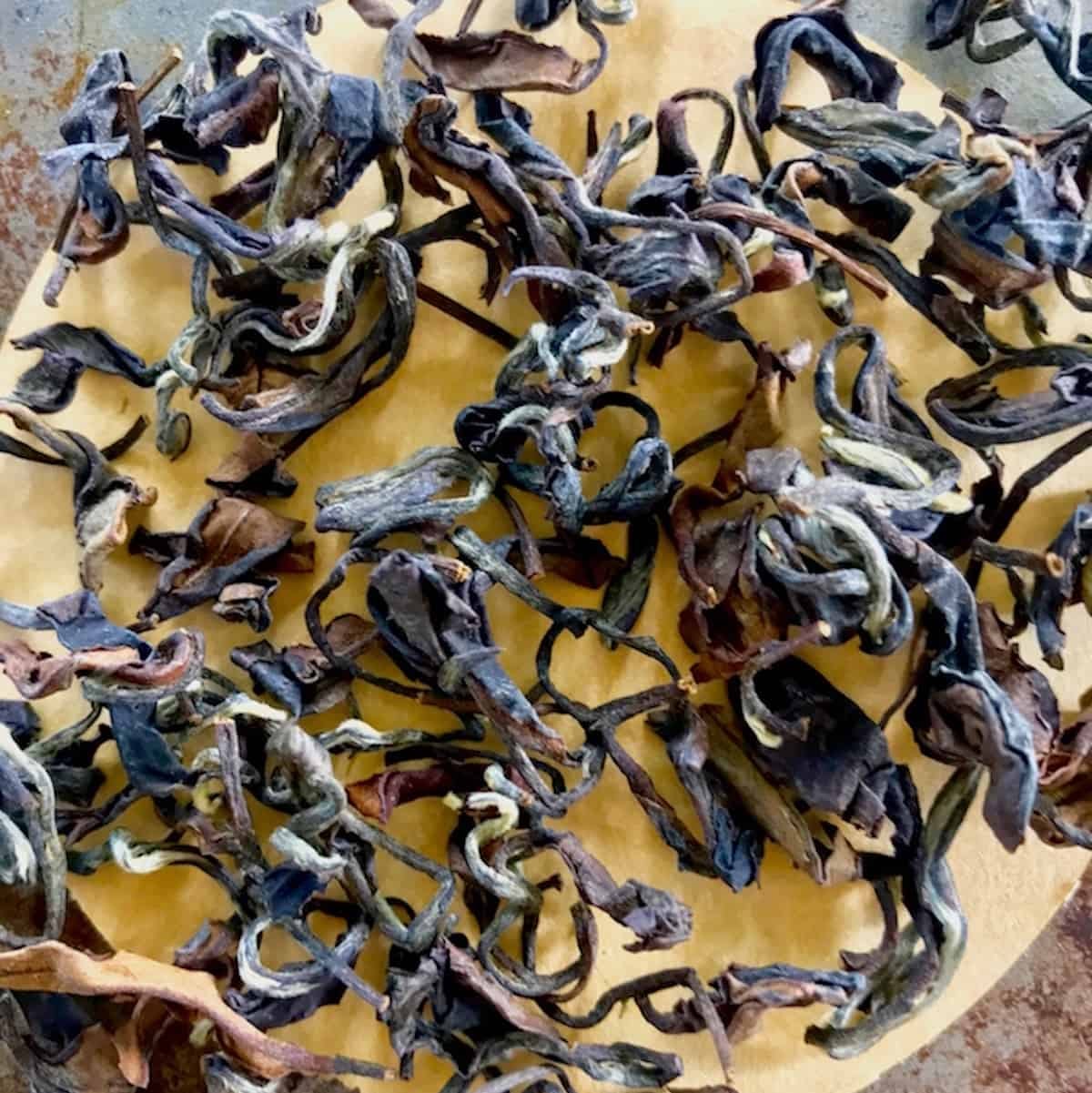 oriental beauty oolong tea