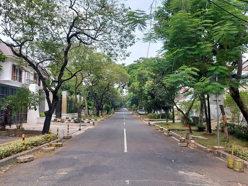 Leafy streets of South Jakarta