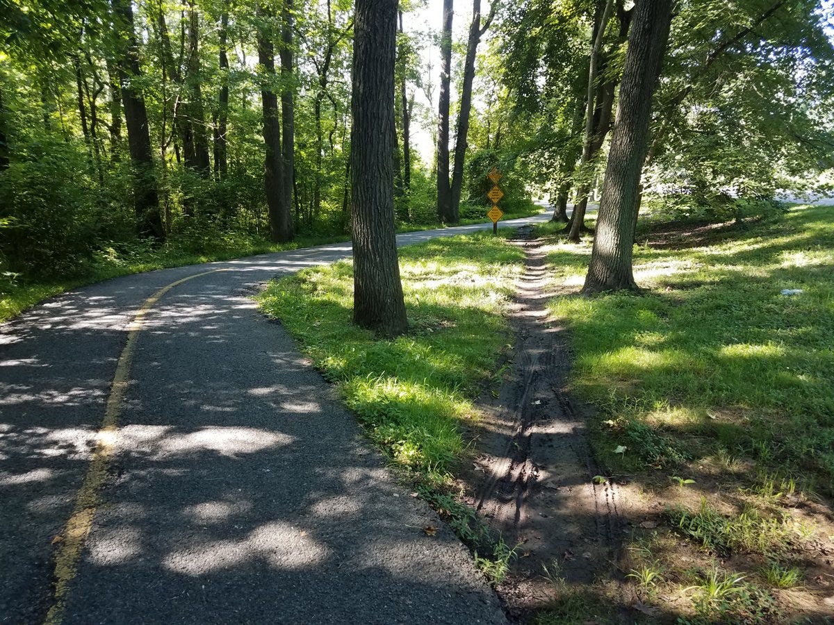 A dirt trail shortcut in a forested area next to an asphalt pathway.