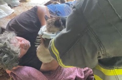 Firefighters free cat with head stuck through rim of tire