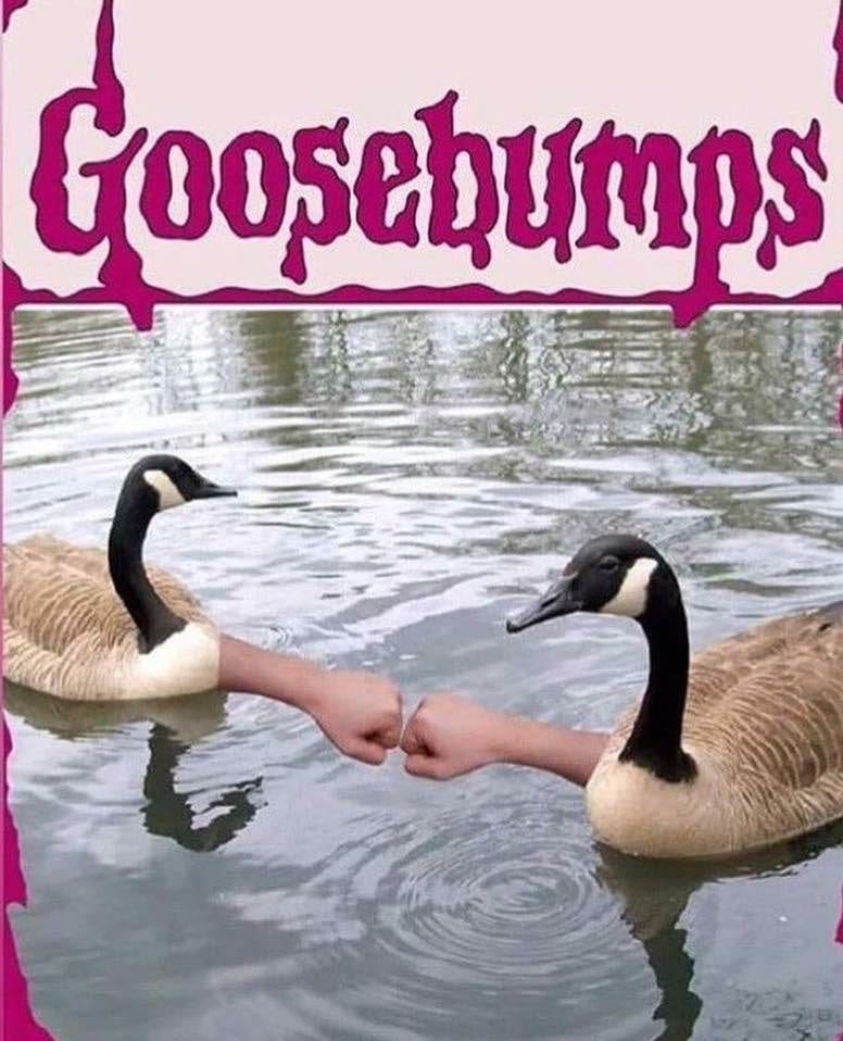 I love "Goosebumps" : r/memes