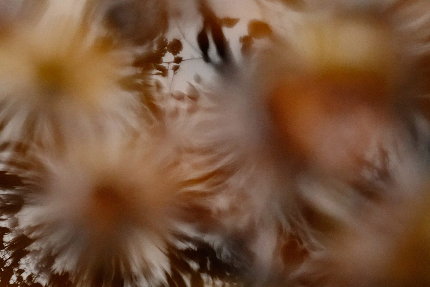 Autumn foliage reflected in the water of an old ditch