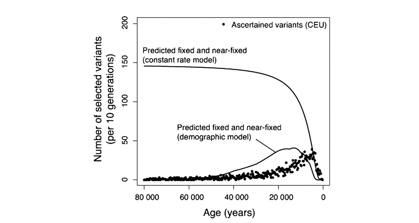 The proportion of fixed and near-fixed variants under two models: one with a constant rate of new selected variants, the other with a rate that is proportional to population size. The proportion of fixed and near-fixed variants under two models: one with a constant rate of new selected variants, the other with a rate that is proportional to population size.