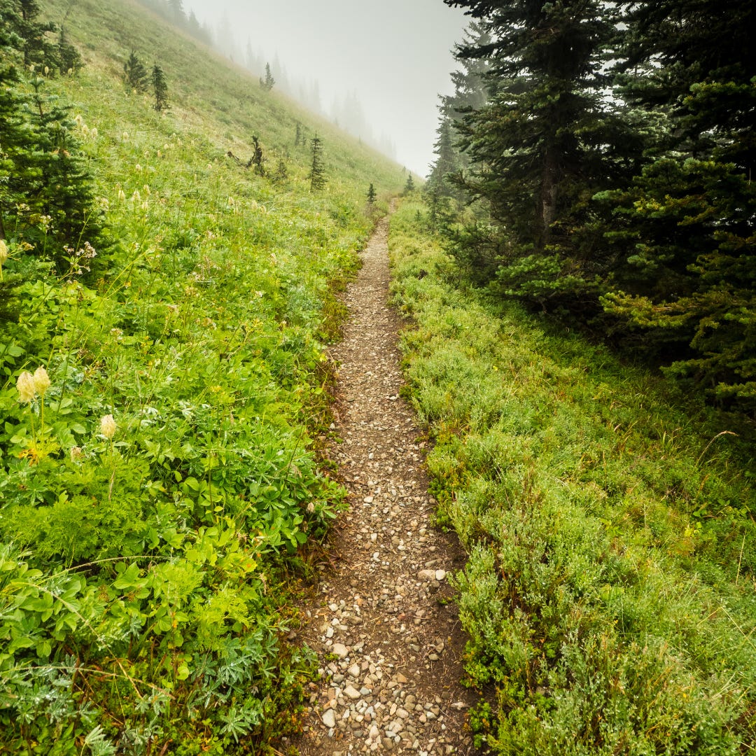 a narrow but straight path cutting across a misty green mountainside