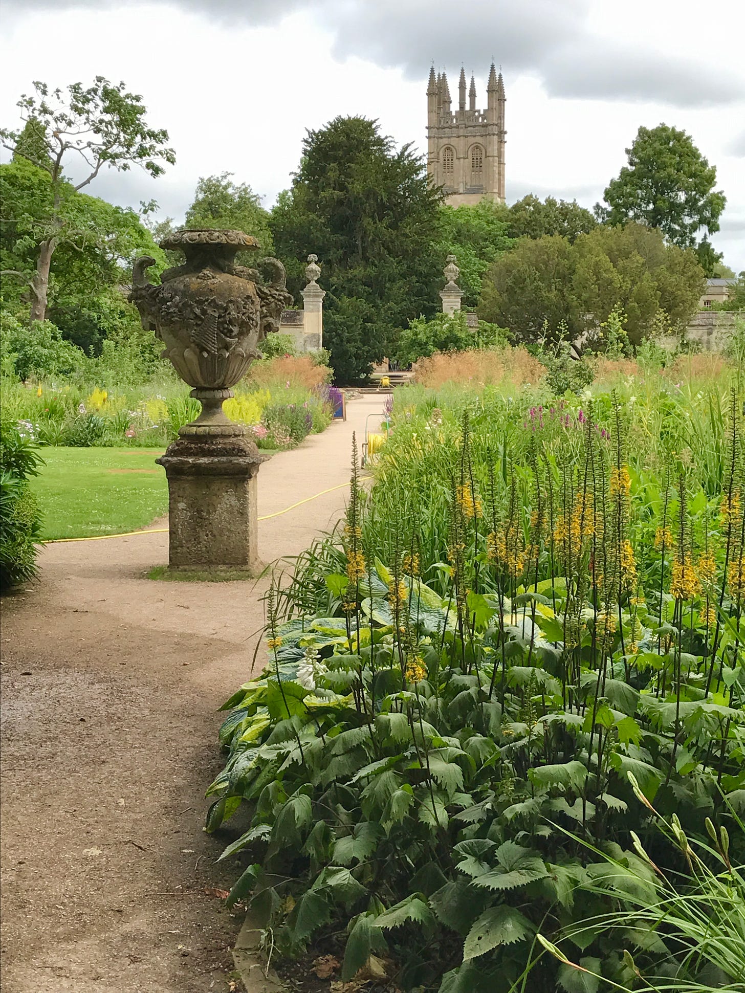 Oxford’s Magdalen Tower as scene from the garden walk at Oxford Botanic Garden.