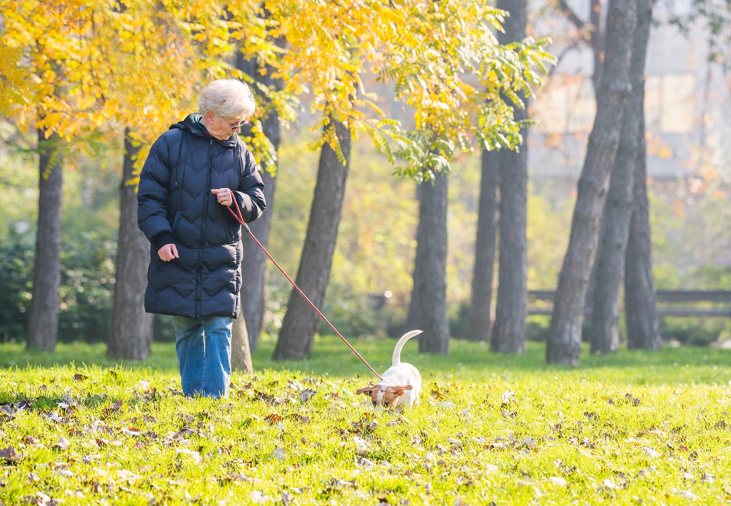 Old woman walking her dog in a park during the autumn 