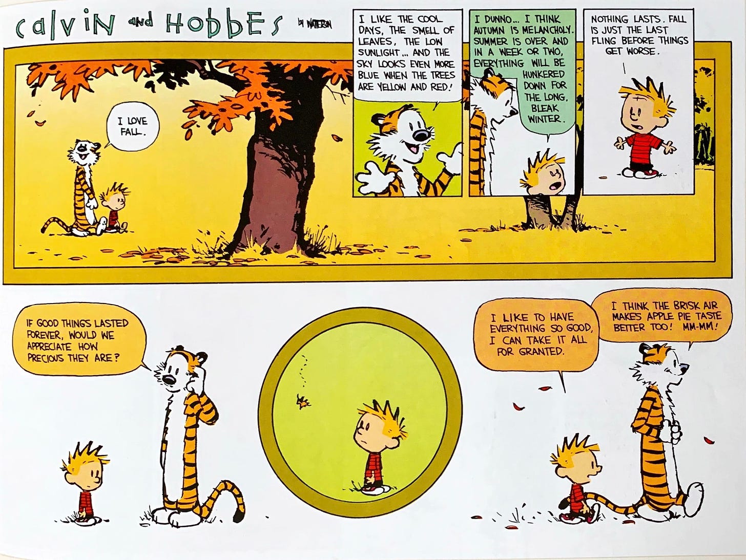 If good things lasted forever, would we appreciate how precious they are?”  : r/calvinandhobbes