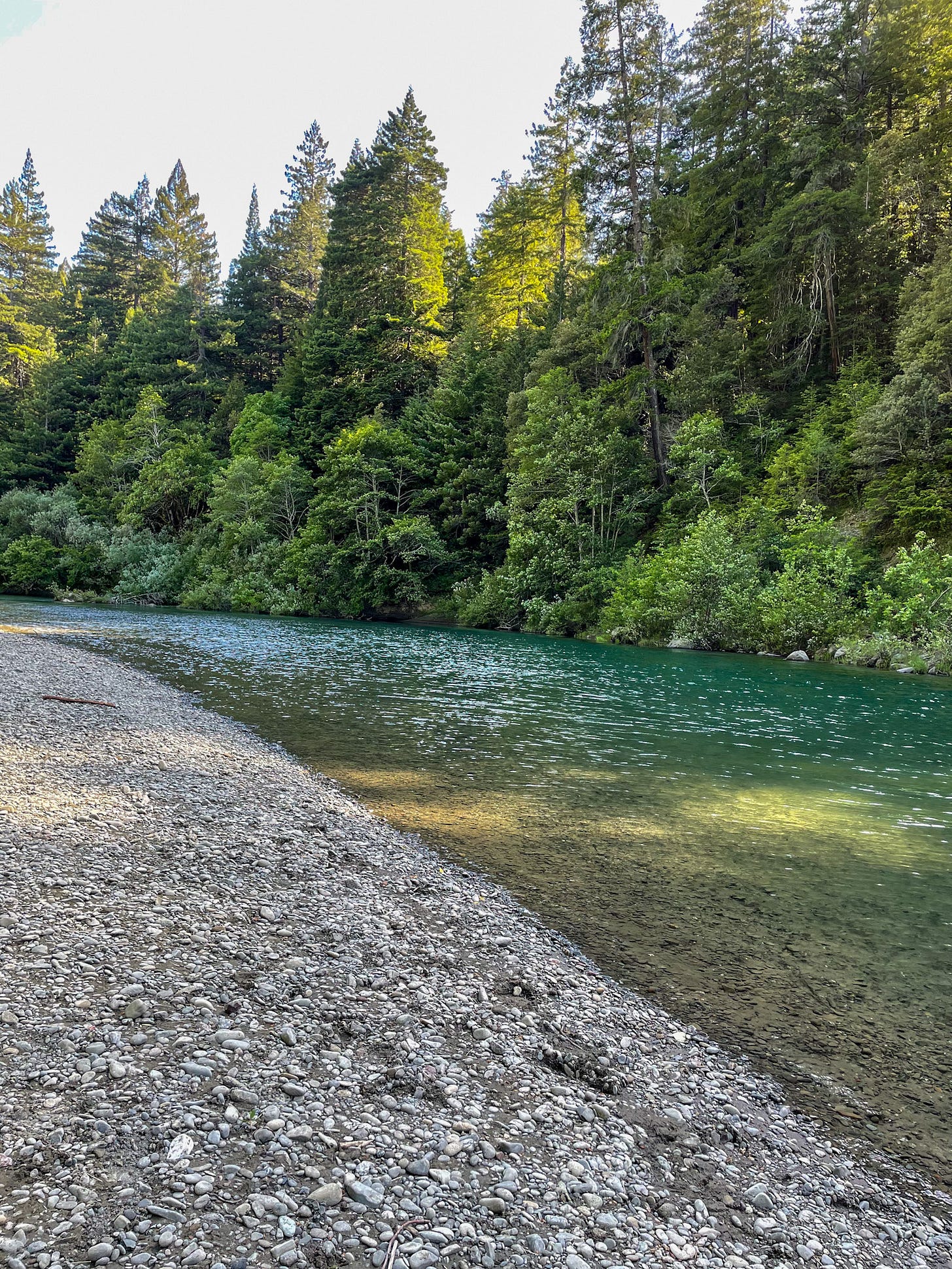 Humboldt Redwood State Park