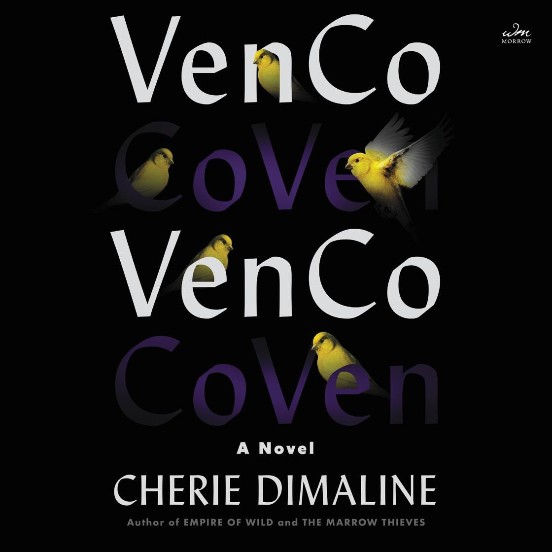 The audiobook cover of VenCo.