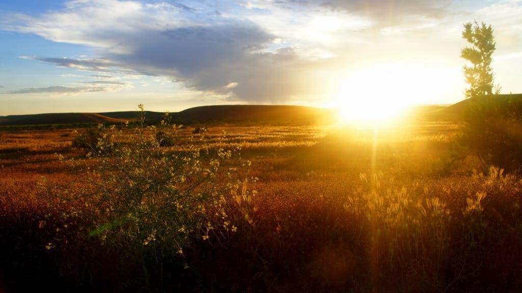 We'll see lots of wheat waving under sunsets on our trip!