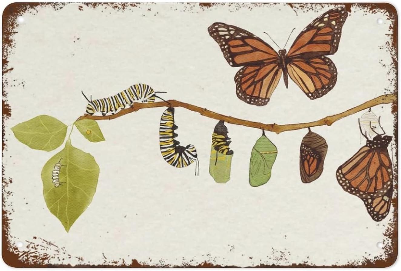 Monarch Butterfly Life Cycle Poster - Nature Watercolor Wall Art Funny  Vintage Metal Tin Sign For Bedroom Living Room Kitchen Yard Garden Wall  Decor ...