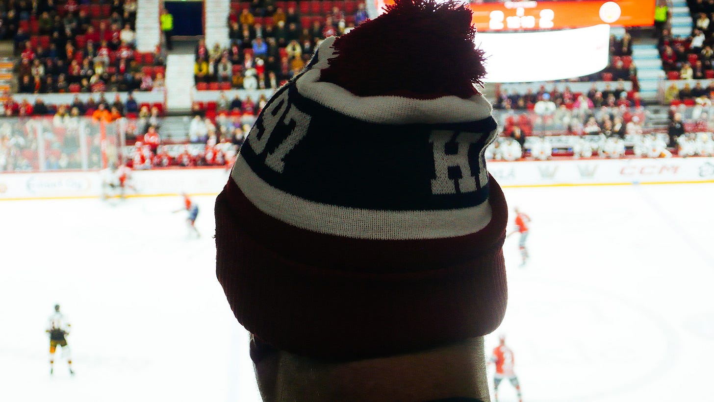 A head in a beanie watches the ice hockey.