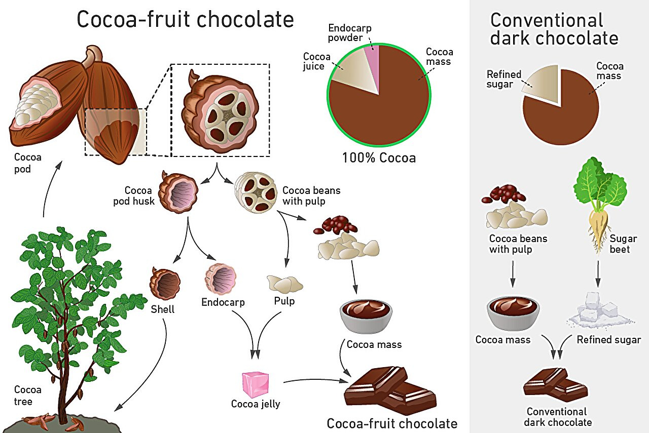 Chocolate that harnesses the full potential of the cocoa fruit