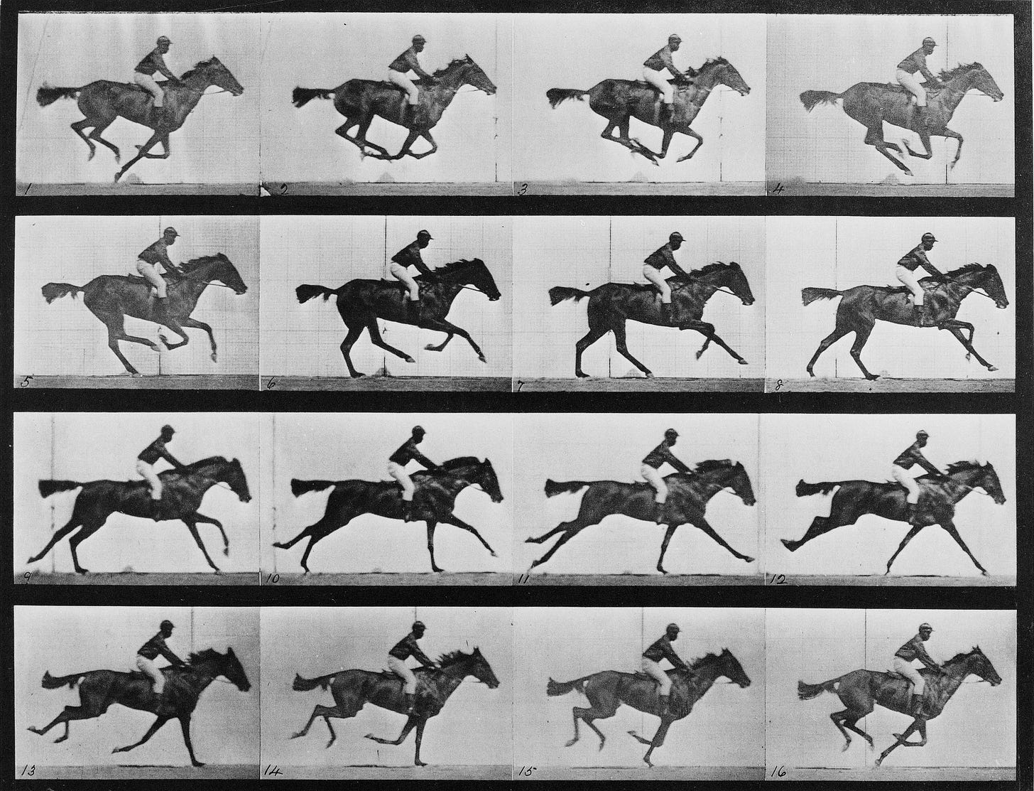 Animal locomotion - 16 frames of racehorse "Annie G." galloping
