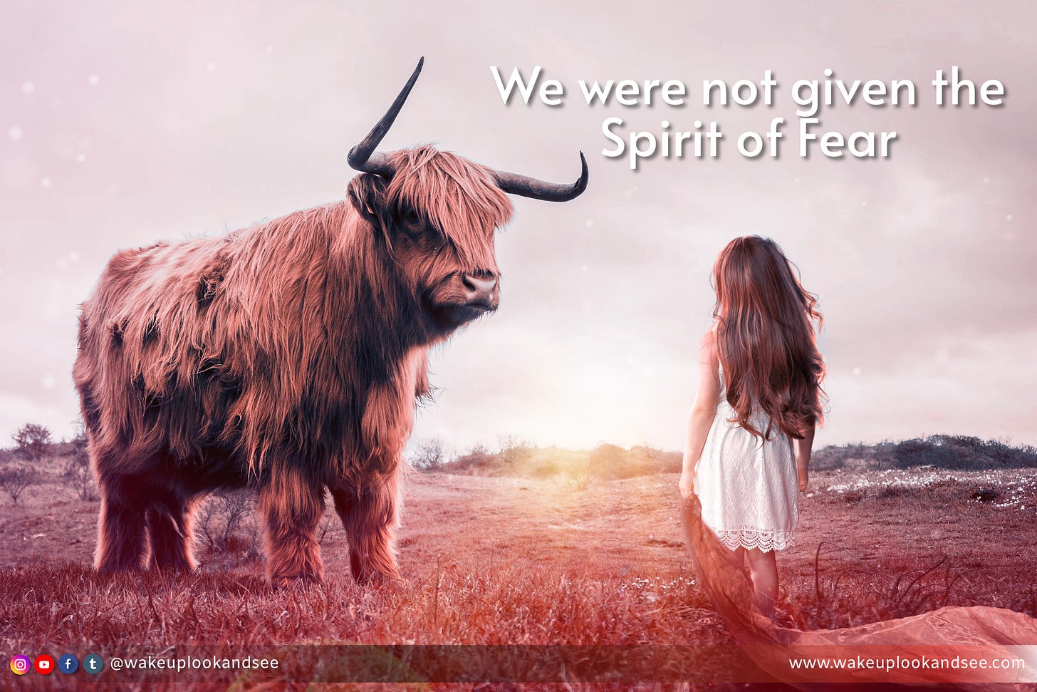 We were not given the Spirit of Fear