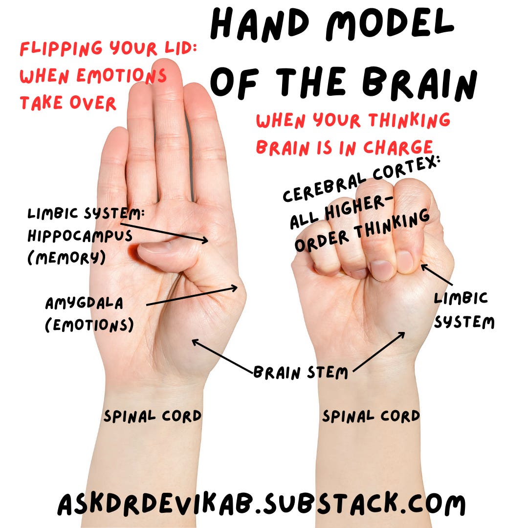 Hand model of the brain: Left image is captioned, flipping your lid: when emotions take over. It shows a hand with four fingers open, and the thumb is labeled limbic system, hippocampus (memory) and amygdala (emotions). The right image is of a closed fist, titled "when your thinking brain is in charge". It has the closed fingers labeled "cerebral cortex: all higher-order thinking."