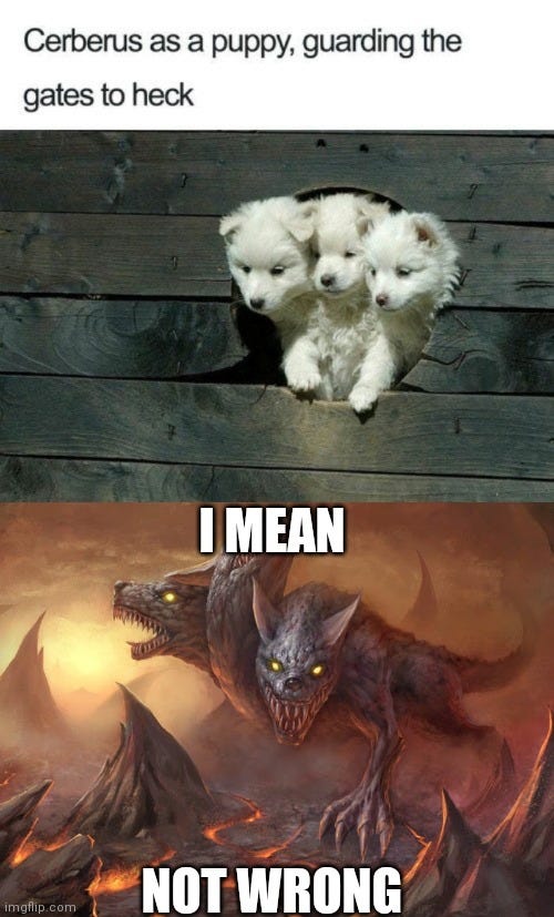 Cerberus As A Pupper, Guarding The Gates To Heck You And , 51% OFF