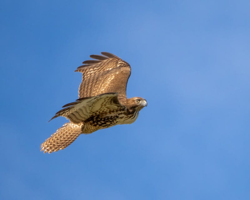20240218-Yuma-280-Edit.jpg